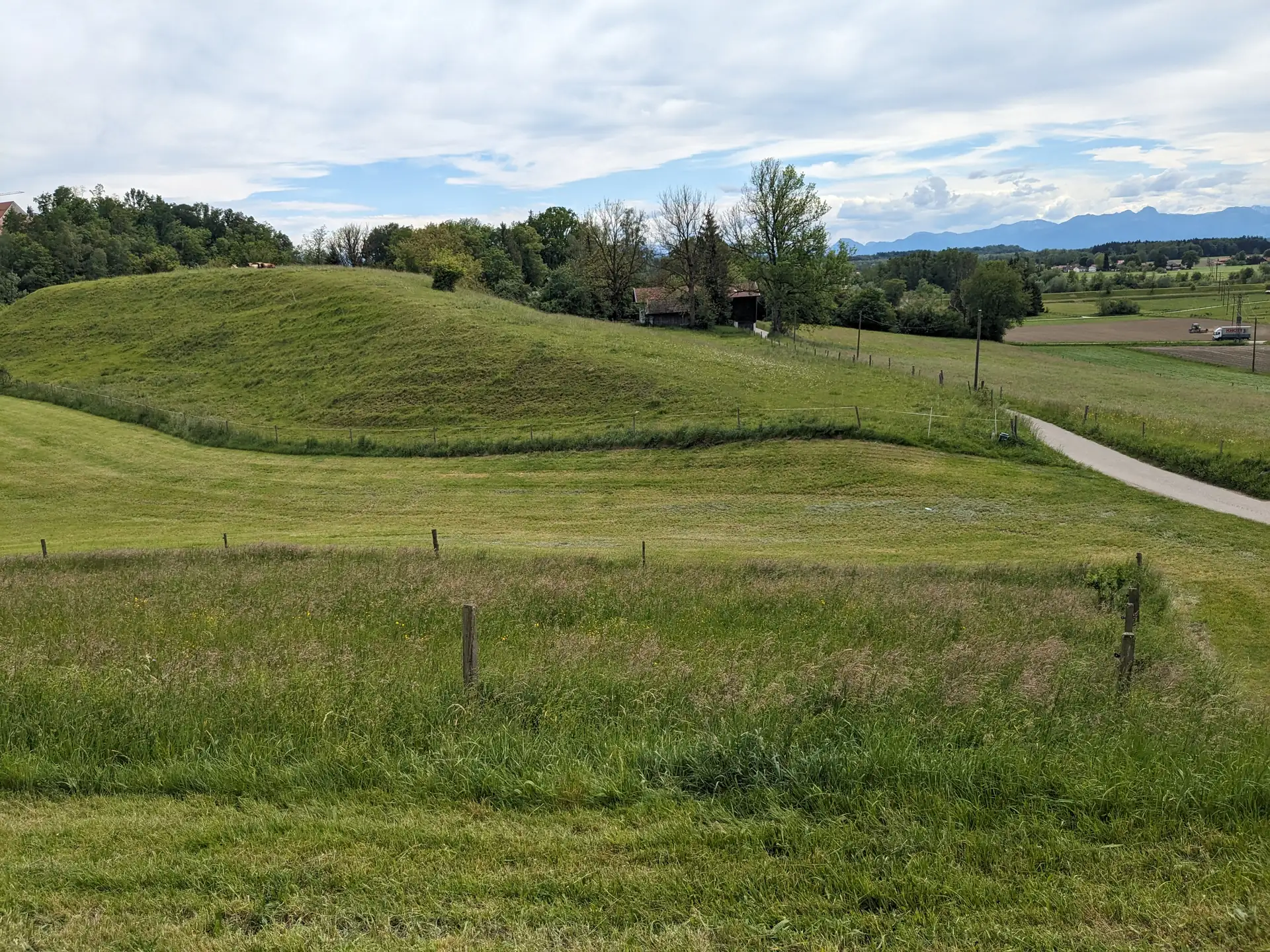 Hügelige Grünlandflächen im Inntal mit Alpenkette am Horizont