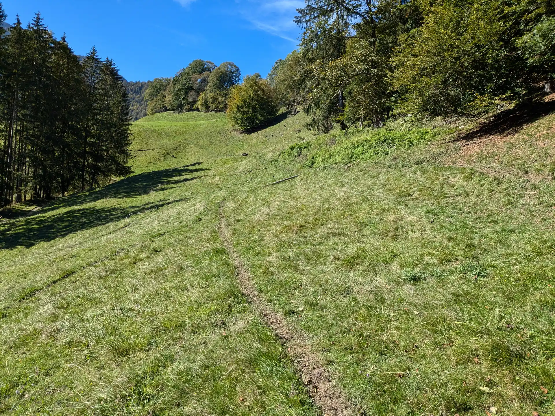 Symbolbild: Extensiv beweideter Hang mit Trittpfad am Waldrand im Landkreis Rosenheim