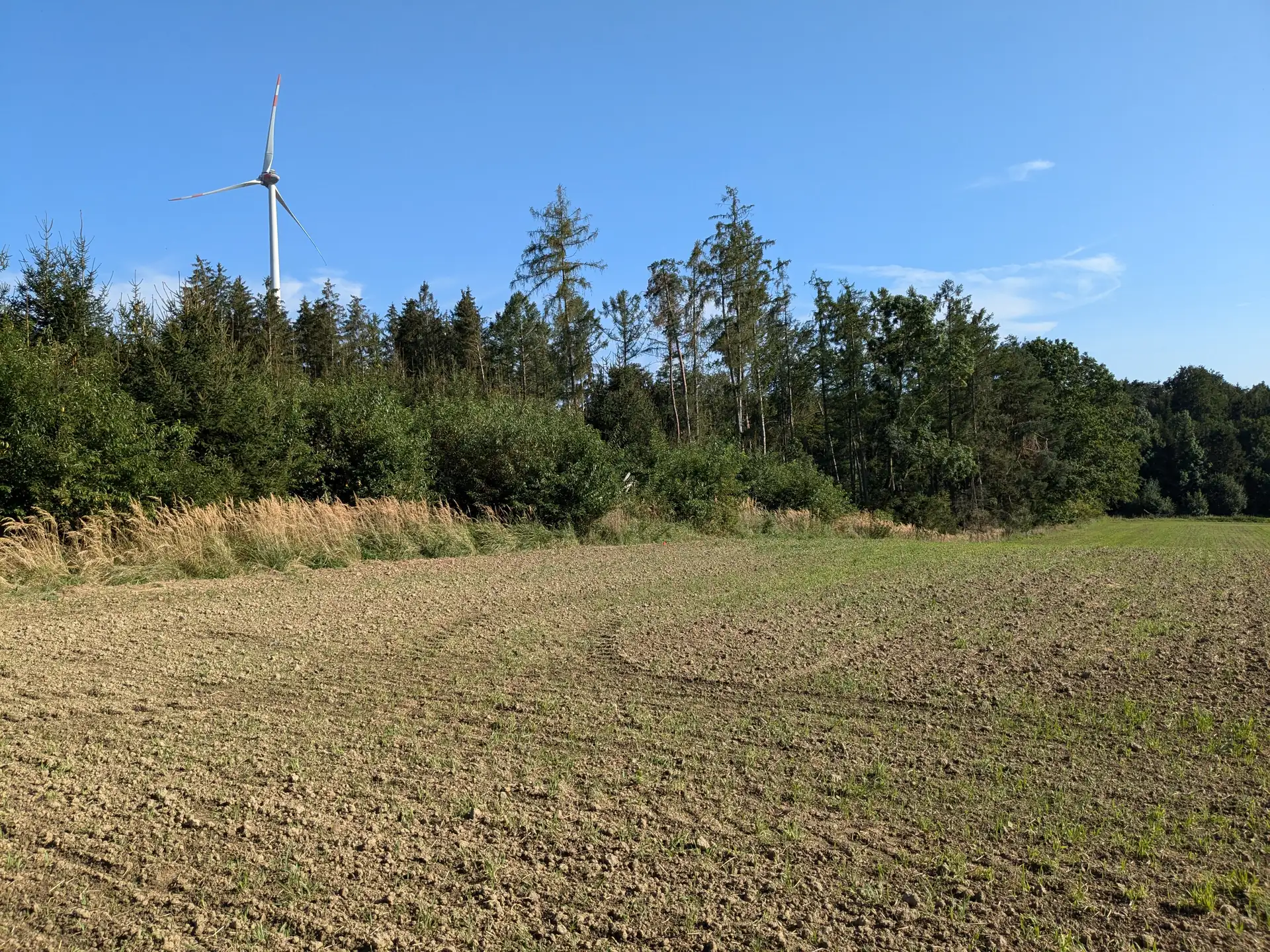Acker mit angrenzendem Feldgehölz, dahinter eine Windenergieanlage vor blauem Himmel