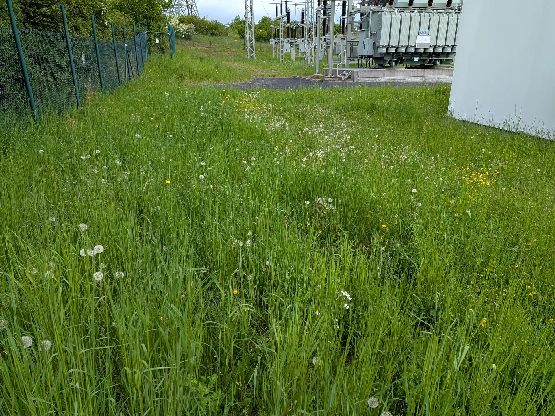 Grünland innerhalb der Umzäunung mit Blick auf Transformatoren